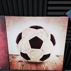 Wall Art 12 X 12 Soccer Mural