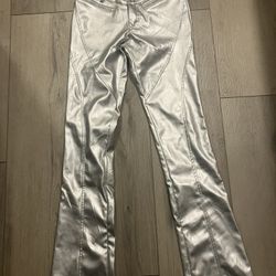 Silver Metallic Pants 