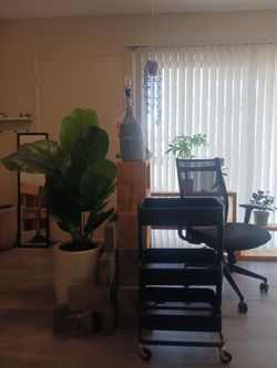 Moving Sale