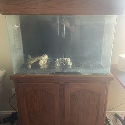 55 Gallon (tall) Fish Tank