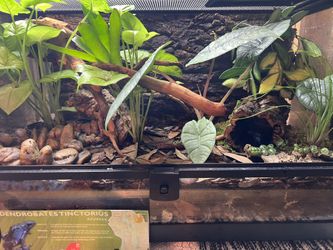 Vivarium Builds For Various Animals. Will Build For you!