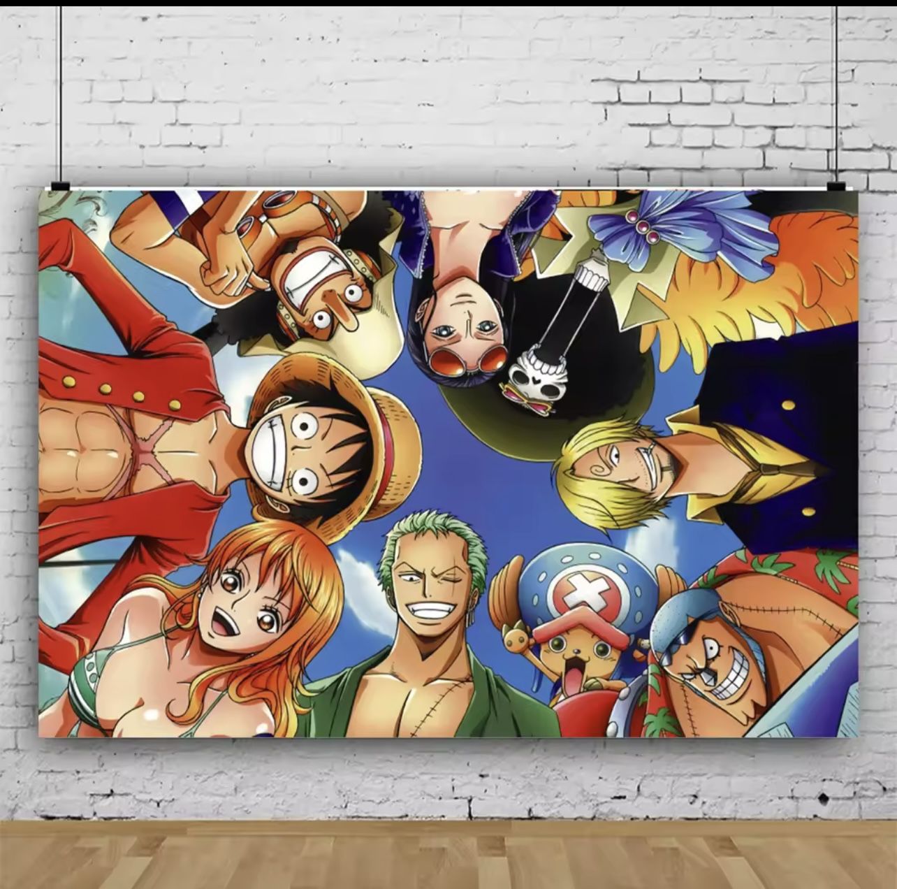 One Piece Backdrop