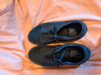 Vans special edition