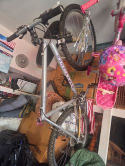 Gary Fisher Mountain Bike