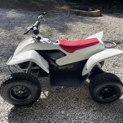 Razor Quad 500