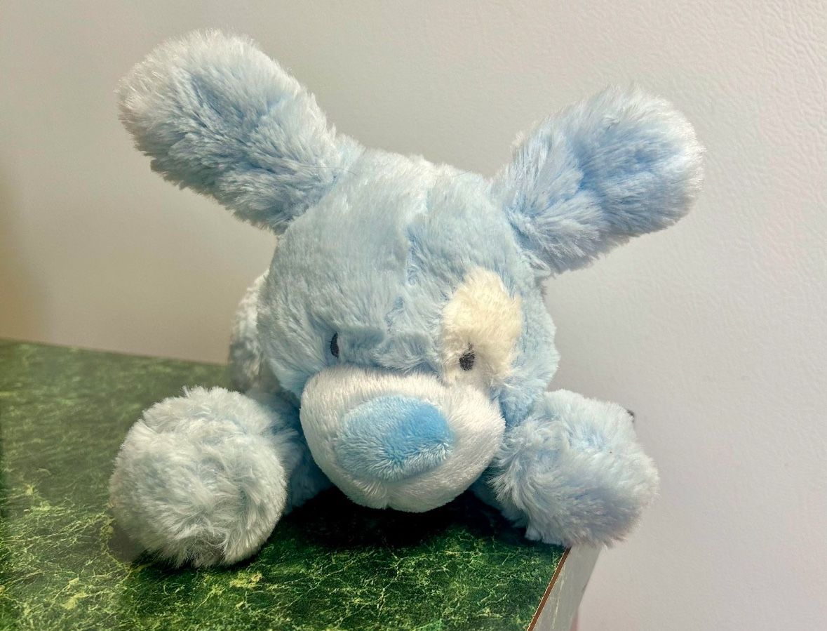 Plush Stuffed Animals Build A Bear Cat Leopard Nat & Jules Puppy Dog Donkey Bean Bag Lucy’s Toys