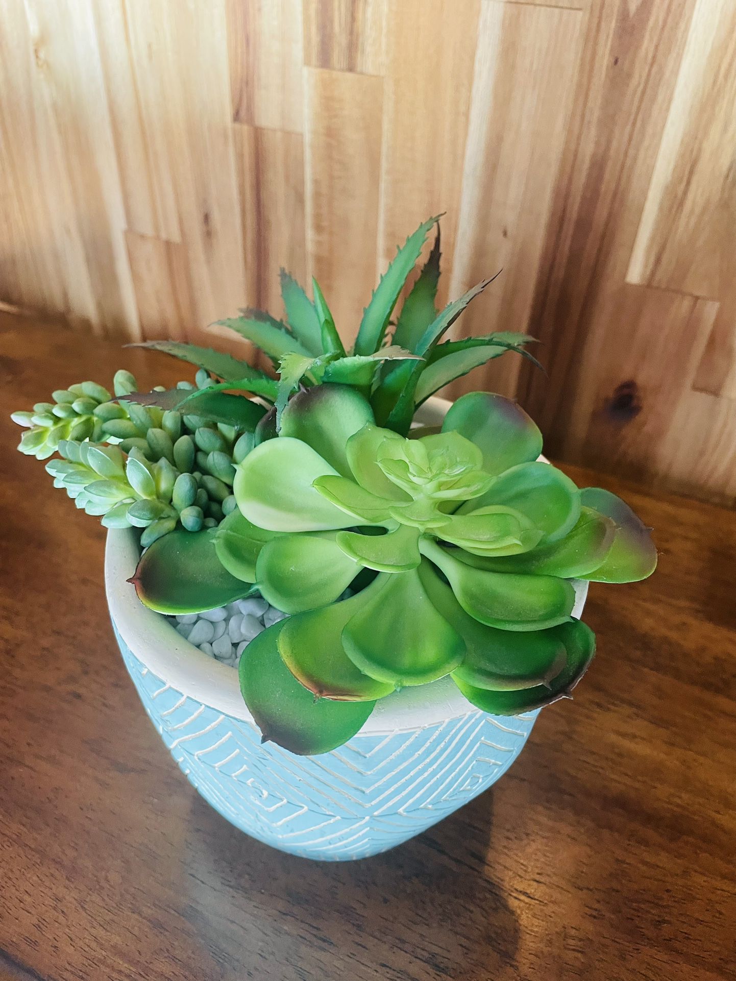Artificial House Plant, Variety Of Succulents 
