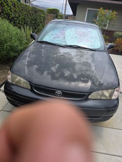 Toyota corolla le