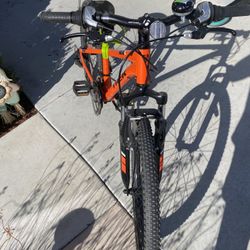 Trek Mountain Bike