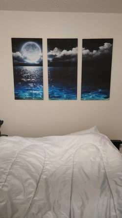 3 piece wall decor of moon on canvas