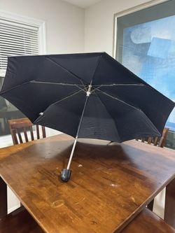 Black Umbrella