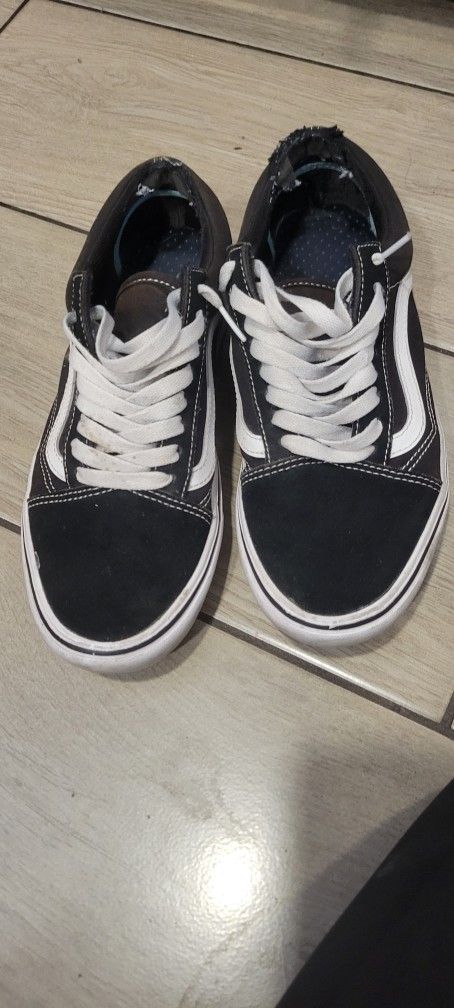 Converse Shoes