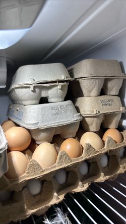 Egg cartons