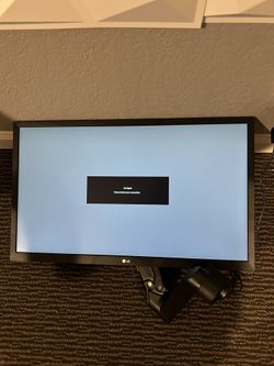 LG Computer Monitor/TV- 24"