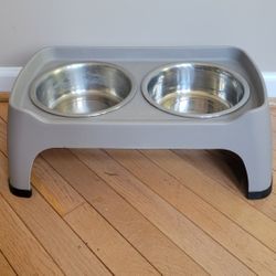 Dog Bowl