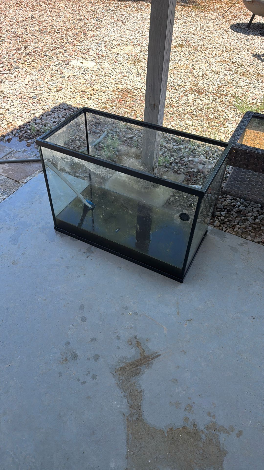 35 Gallon Aquarium