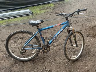 REI Mountain Bike