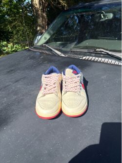 Nike dunks size 9.5