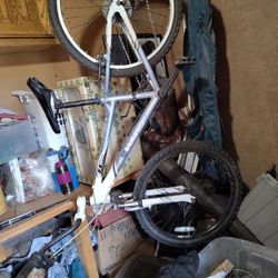 24inch Haro Hardtail