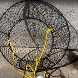 Danielson Lobster hoop