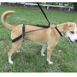 Horgan Harness, Anti-pull/ Effective Dog Harness