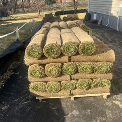 Nice Freshly Sod 