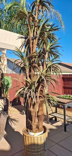 Artificial tree / palm 9' -10 ' tall good condition indoor