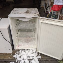 Small Freezer And Mini Fridge 