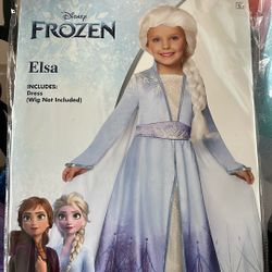 Frozen Costume 3/4 $30