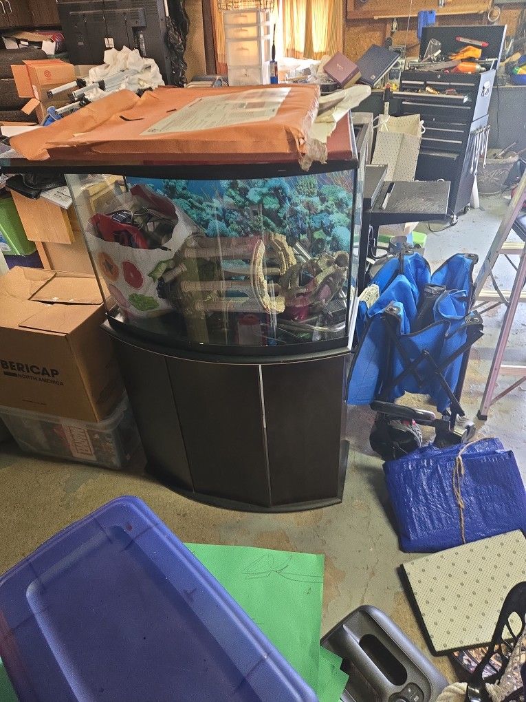 55 Gallon Fish Tank And Stand