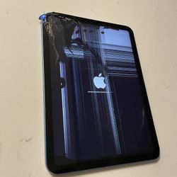 iPad 10th Generation 