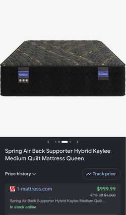 Spring Air Back Supporter Hybrid Queen Mattress