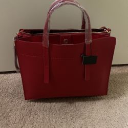 Zara Purse