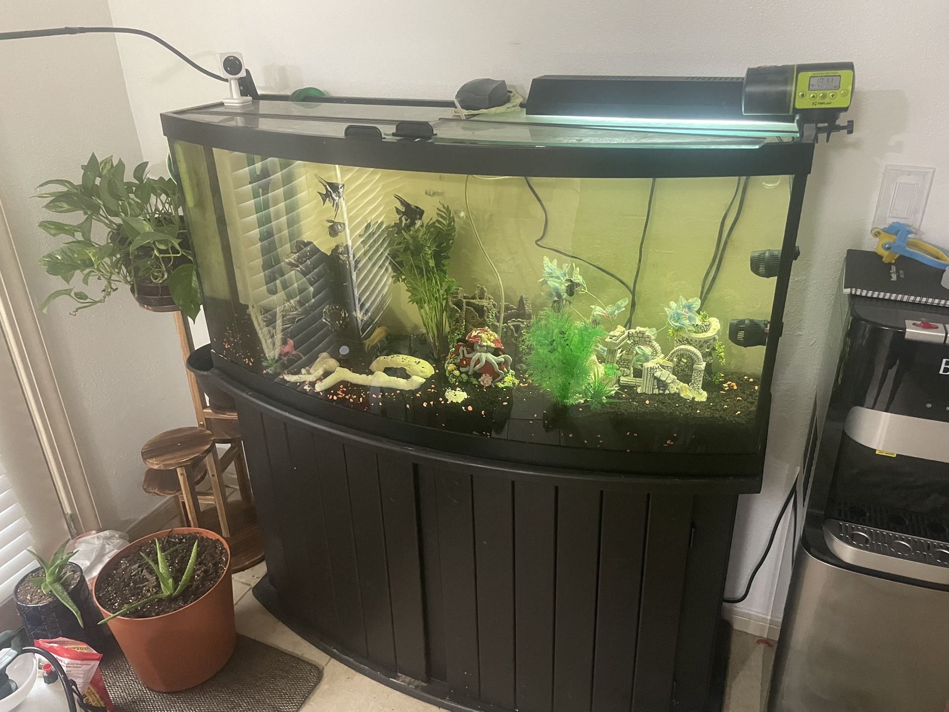 Aquarium