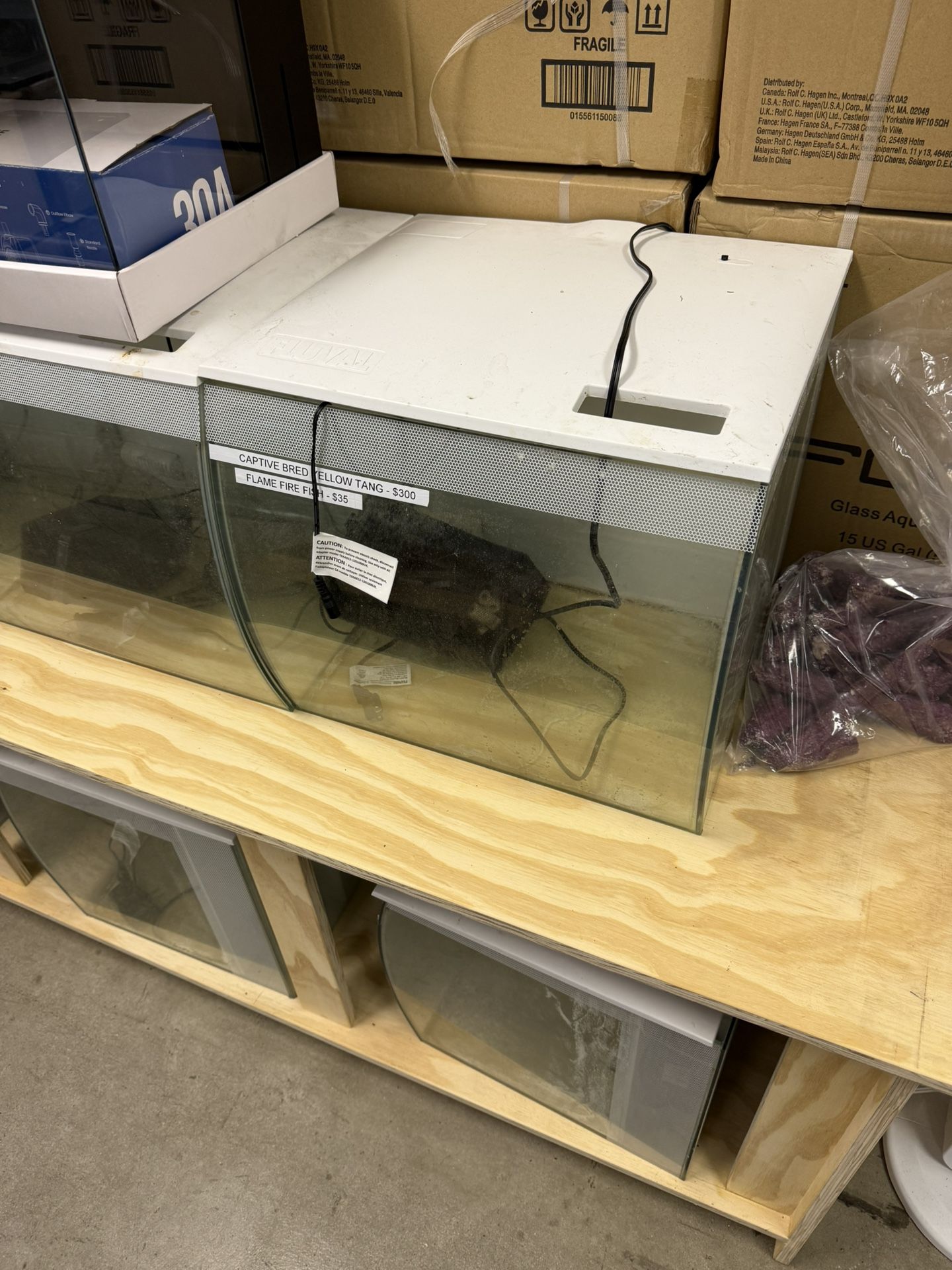 Fluval Flex 15 Aquarium