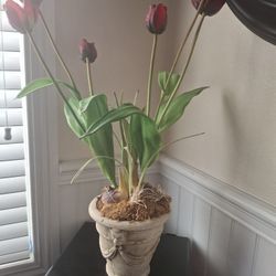 Beautiful Artificial Accent Plants. Pot Solid Not plastic