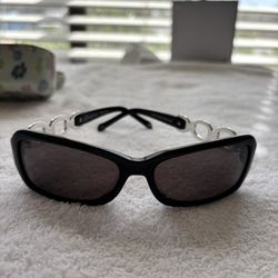 Brighton Sunglasses