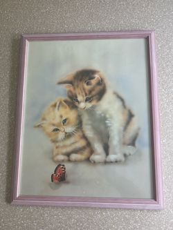 Kitten Picture