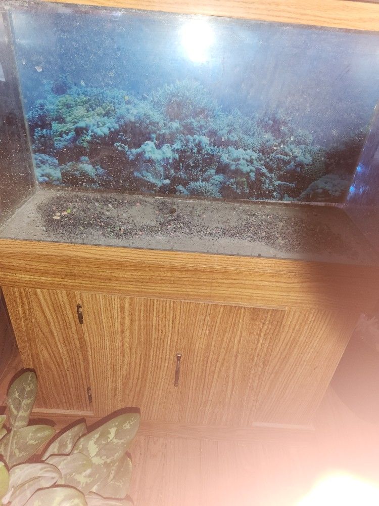 Thirty gallon fish tank withstand