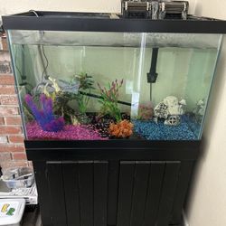FISH TANK 