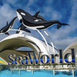 Quick Sale!!! 5 Seaworld Tickets  $115 For All (No Blackout Dates) 