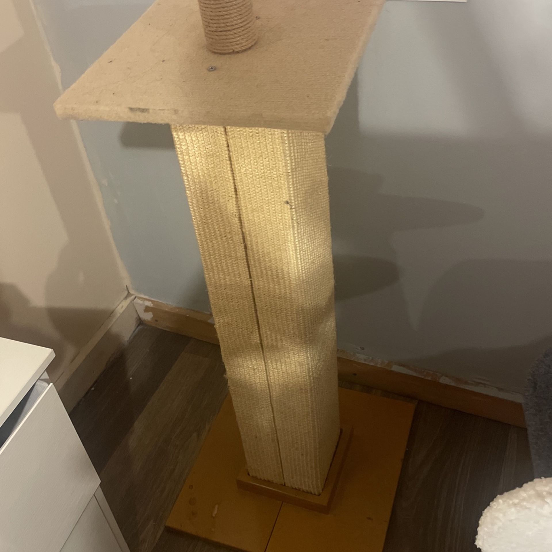 tall cat scratching post