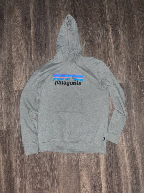 Patagonia Men's Hoodie (Adult-L)