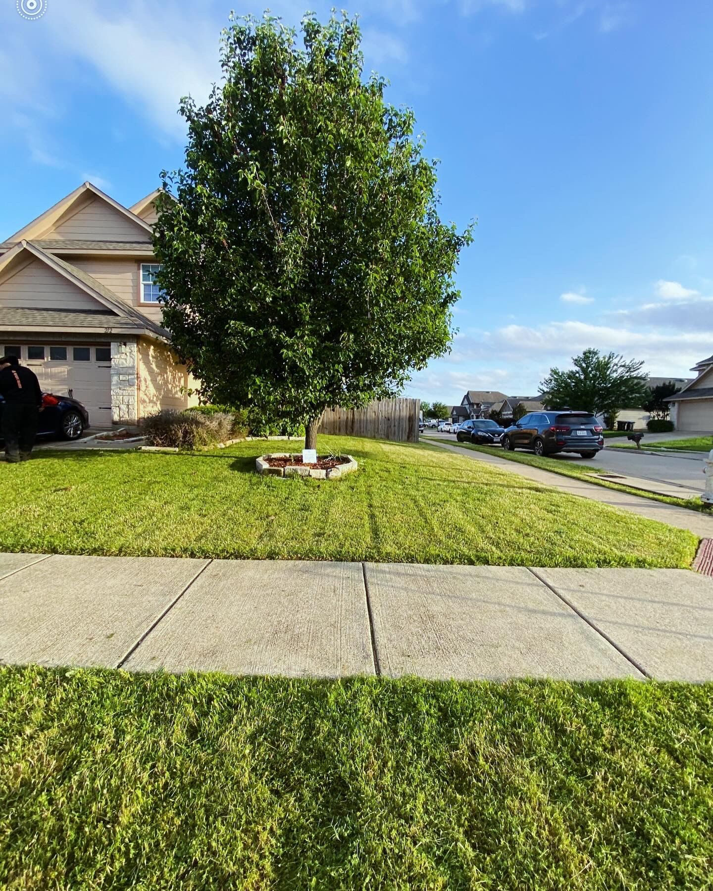 Lawn Service & Powerwash for Sale in Fort Worth, TX OfferUp
