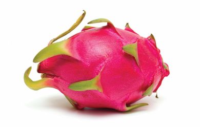 FREE! Dragonfruit Cuttings Pink/White Variety