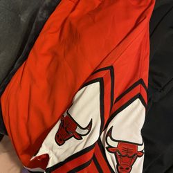 Authentic Chicago Bulls Shorts XL 