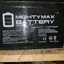 Mighty Max Battery