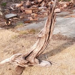 Dolphin Driftwood Yard Art