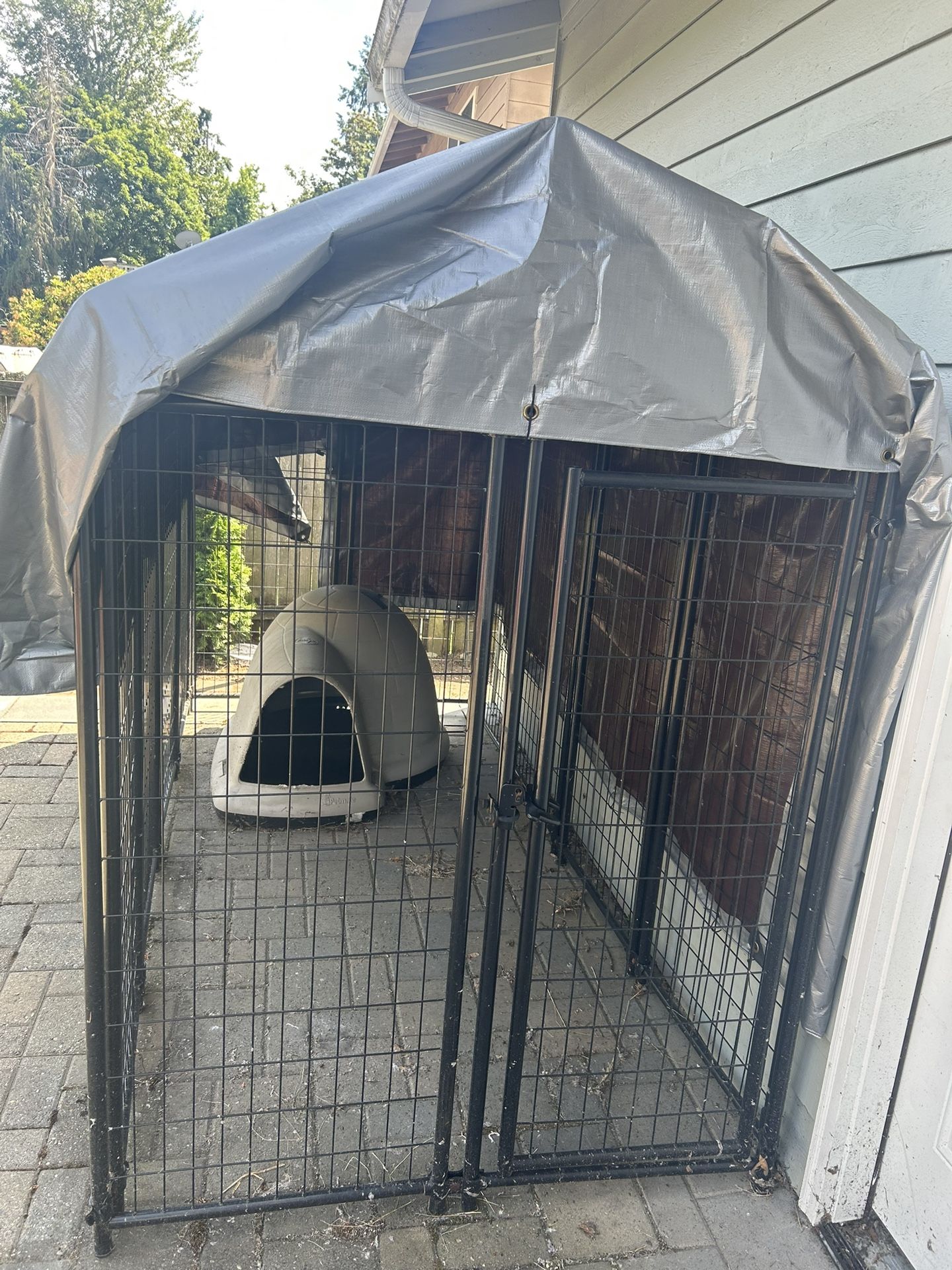 Dog Run And House