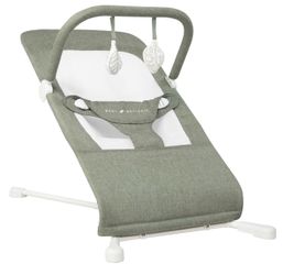 Baby Delight Highland Baby Bouncer | Infant | 0 – 6 Months | 3-Position Recl...